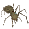 Corpse spider