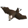 Giant bat
