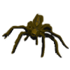 Giant spider 