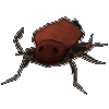 Warped cockroach