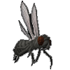 Warped fly